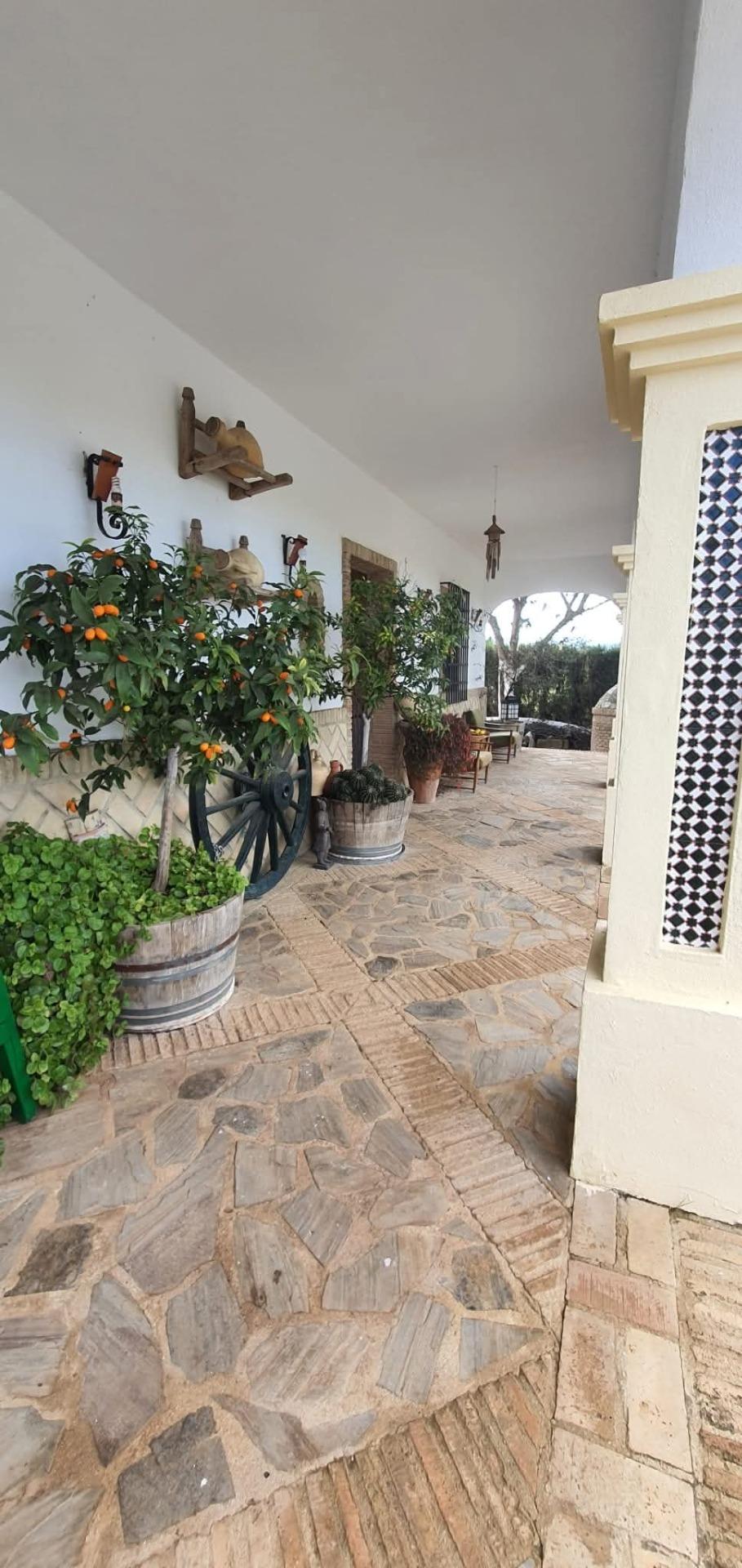 Encantadora Casa con Piscina en Prado del Rey - ¡Listo para Entrar a Vivir!