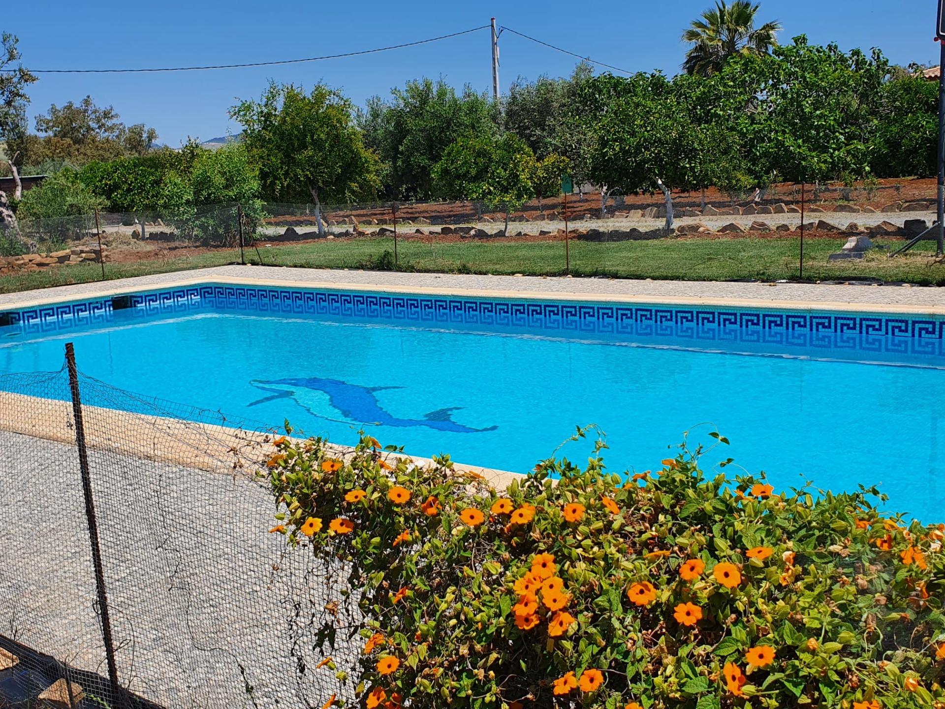 Encantadora Casa con Piscina en Prado del Rey - ¡Listo para Entrar a Vivir!