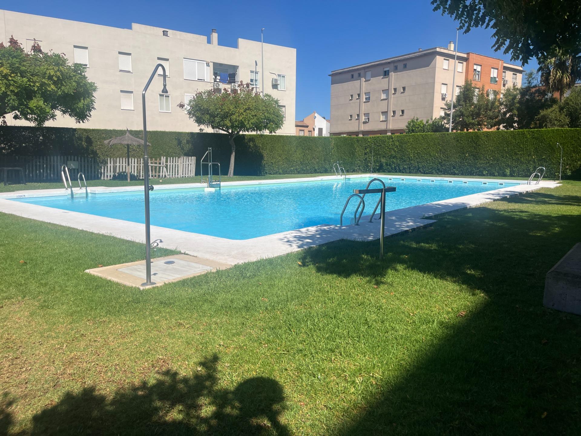 AVDA PUERTA DEL SUR PERIODO 10 MESE