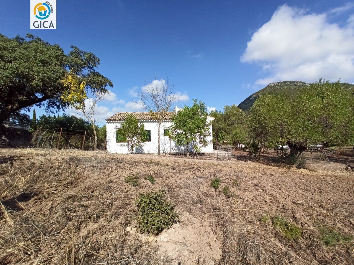 CASA CON PARCELA  EN LA SIERRA DE CADIZ -EL BOSQUE