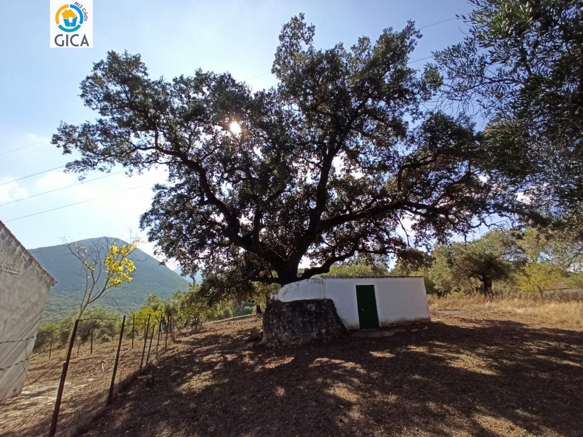 CASA CON PARCELA  EN LA SIERRA DE CADIZ -EL BOSQUE