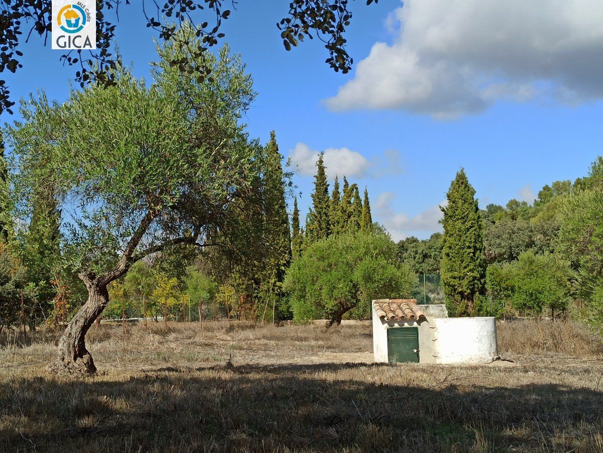 CASA CON PARCELA  EN LA SIERRA DE CADIZ -EL BOSQUE