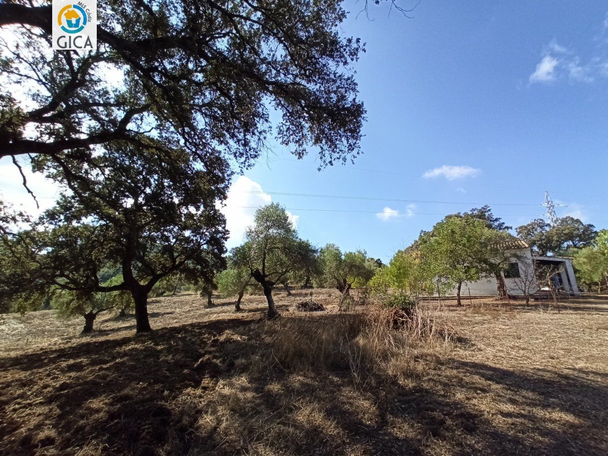 CASA CON PARCELA  EN LA SIERRA DE CADIZ -EL BOSQUE