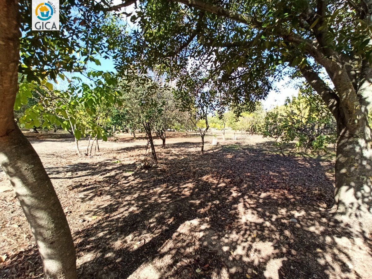 CASA CON PARCELA  EN LA SIERRA DE CADIZ -EL BOSQUE