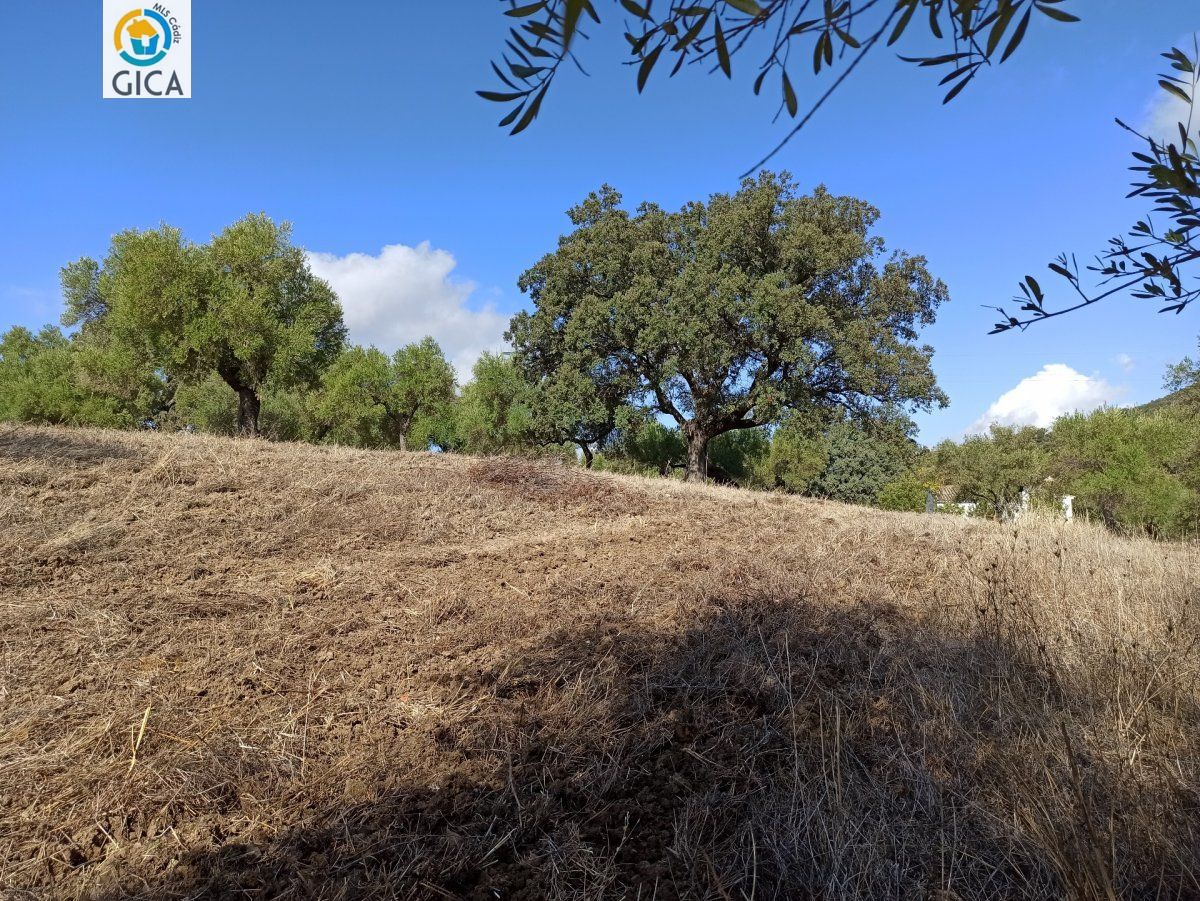 CASA CON PARCELA  EN LA SIERRA DE CADIZ -EL BOSQUE
