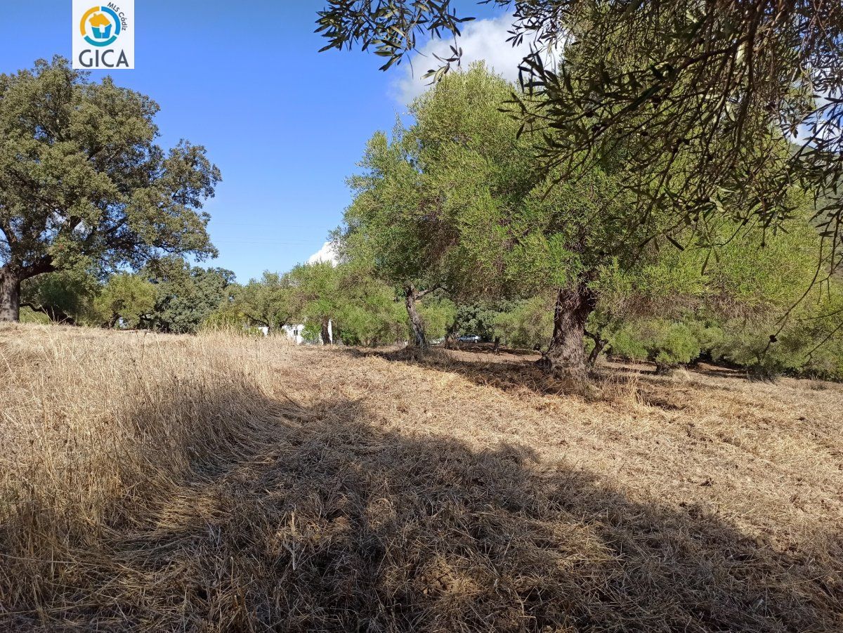 CASA CON PARCELA  EN LA SIERRA DE CADIZ -EL BOSQUE