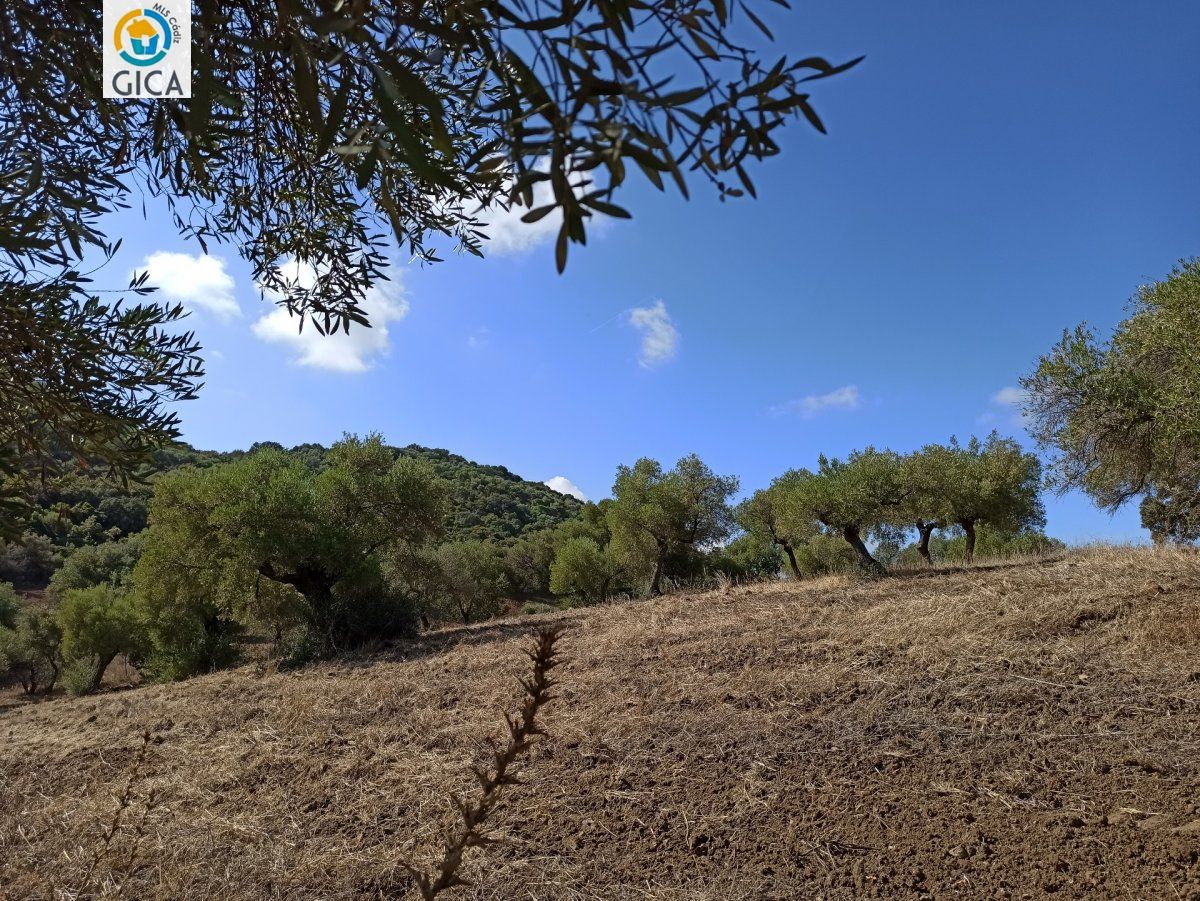 CASA CON PARCELA  EN LA SIERRA DE CADIZ -EL BOSQUE
