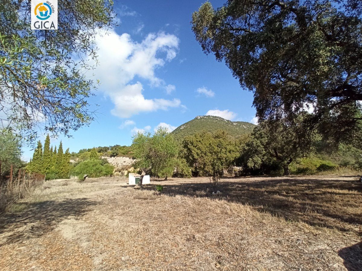CASA CON PARCELA  EN LA SIERRA DE CADIZ -EL BOSQUE