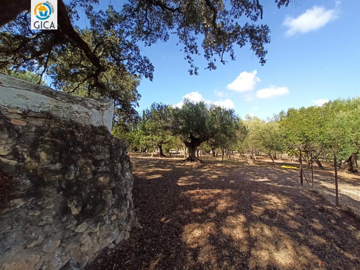 CASA CON PARCELA  EN LA SIERRA DE CADIZ -EL BOSQUE
