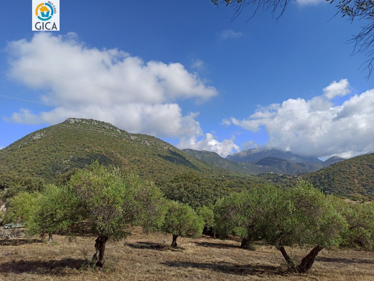 CASA CON PARCELA  EN LA SIERRA DE CADIZ -EL BOSQUE