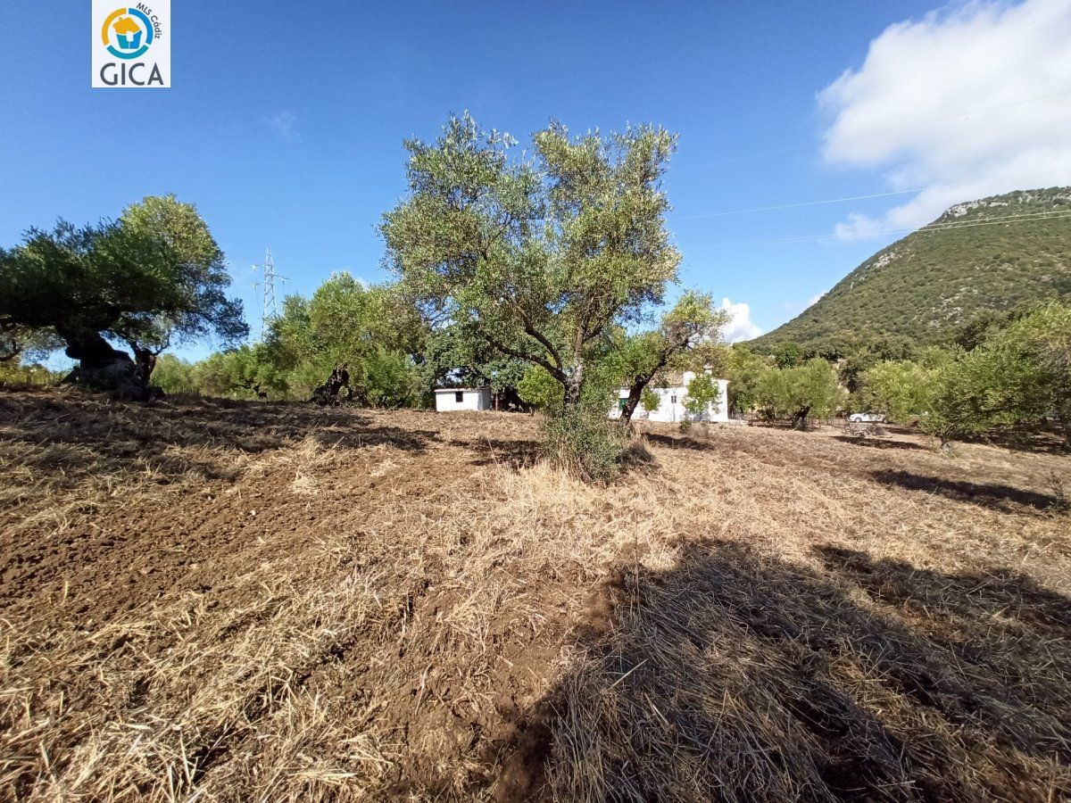 CASA CON PARCELA  EN LA SIERRA DE CADIZ -EL BOSQUE