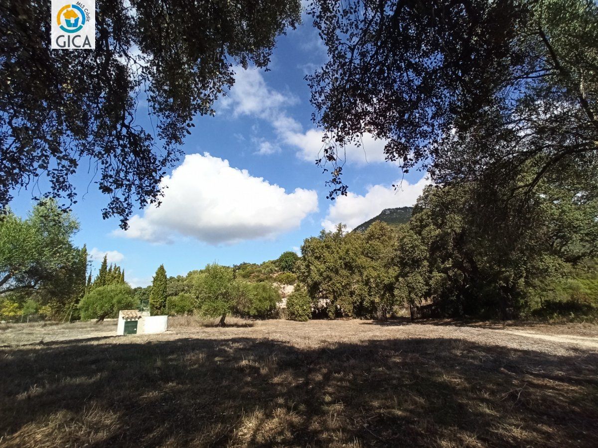 CASA CON PARCELA  EN LA SIERRA DE CADIZ -EL BOSQUE