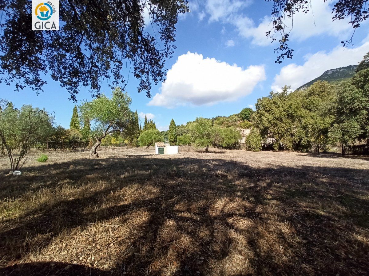 CASA CON PARCELA  EN LA SIERRA DE CADIZ -EL BOSQUE
