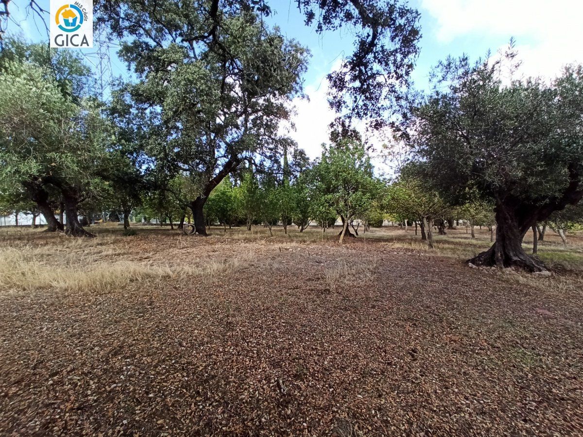 CASA CON PARCELA  EN LA SIERRA DE CADIZ -EL BOSQUE