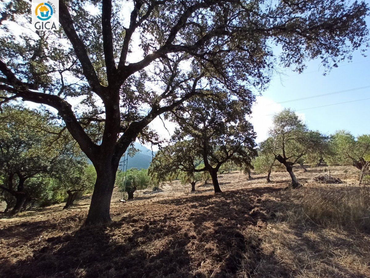 CASA CON PARCELA  EN LA SIERRA DE CADIZ -EL BOSQUE