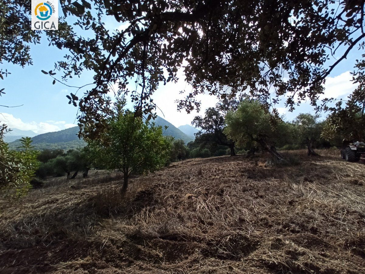 CASA CON PARCELA  EN LA SIERRA DE CADIZ -EL BOSQUE