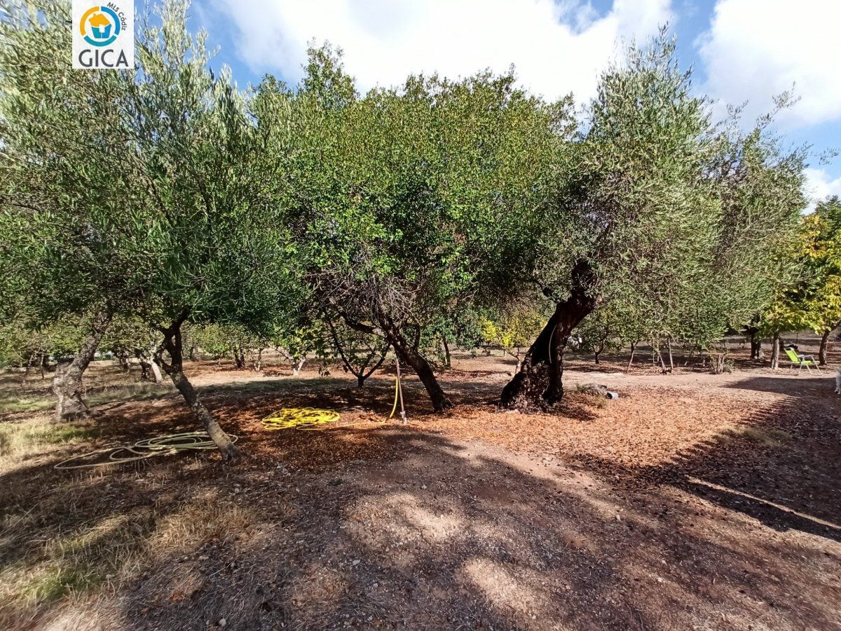 CASA CON PARCELA  EN LA SIERRA DE CADIZ -EL BOSQUE