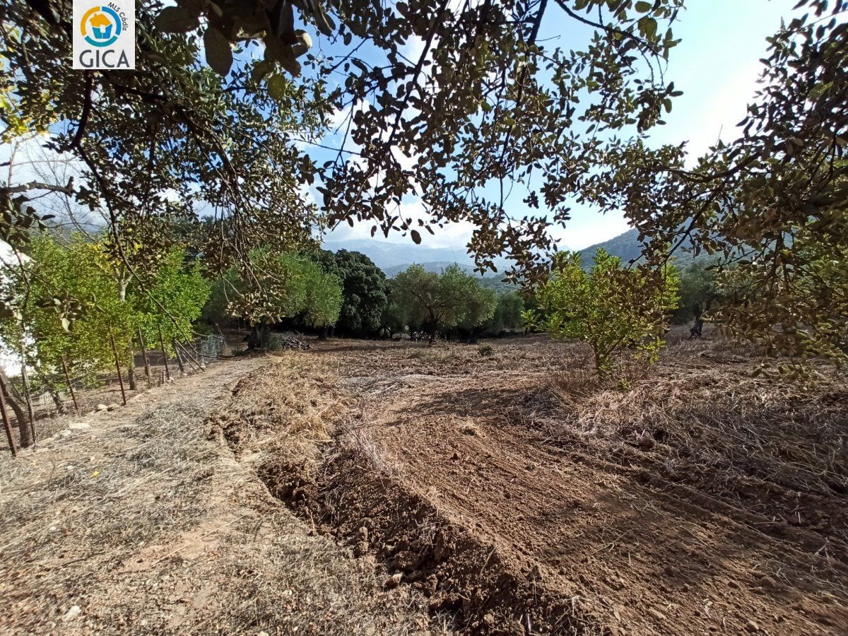 CASA CON PARCELA  EN LA SIERRA DE CADIZ -EL BOSQUE