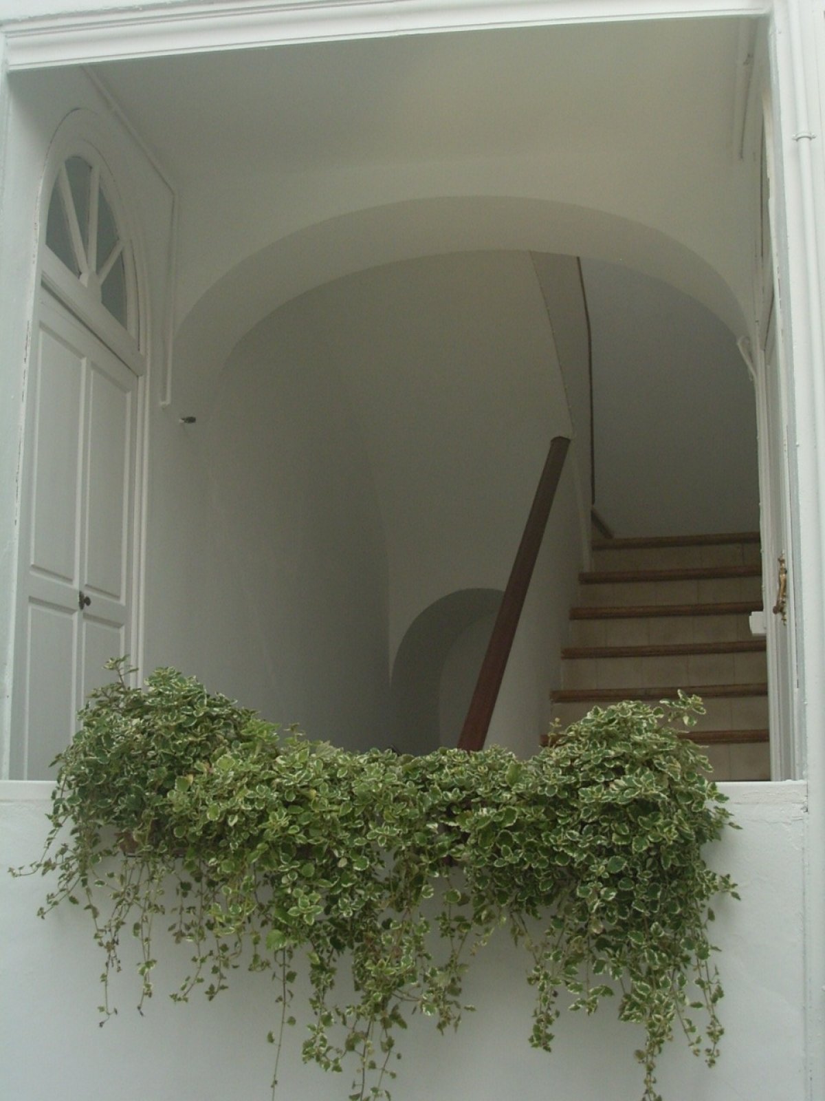 CASA DESTINADA APARTAMENTOS TURISTICOS EN PLENO CENTRO DE JEREZ......