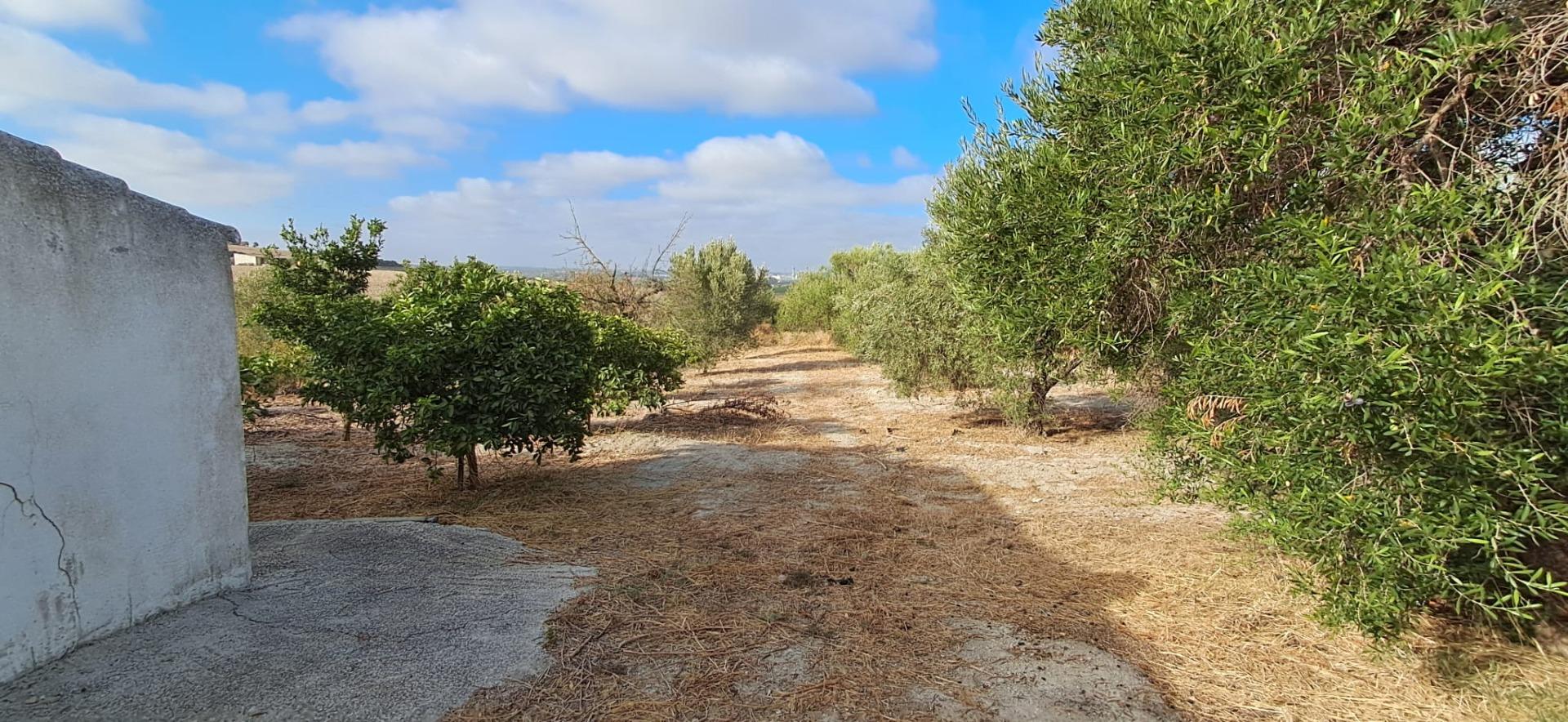 FINCA RÚSTICA EN ARCOS DE LA FRONTERA