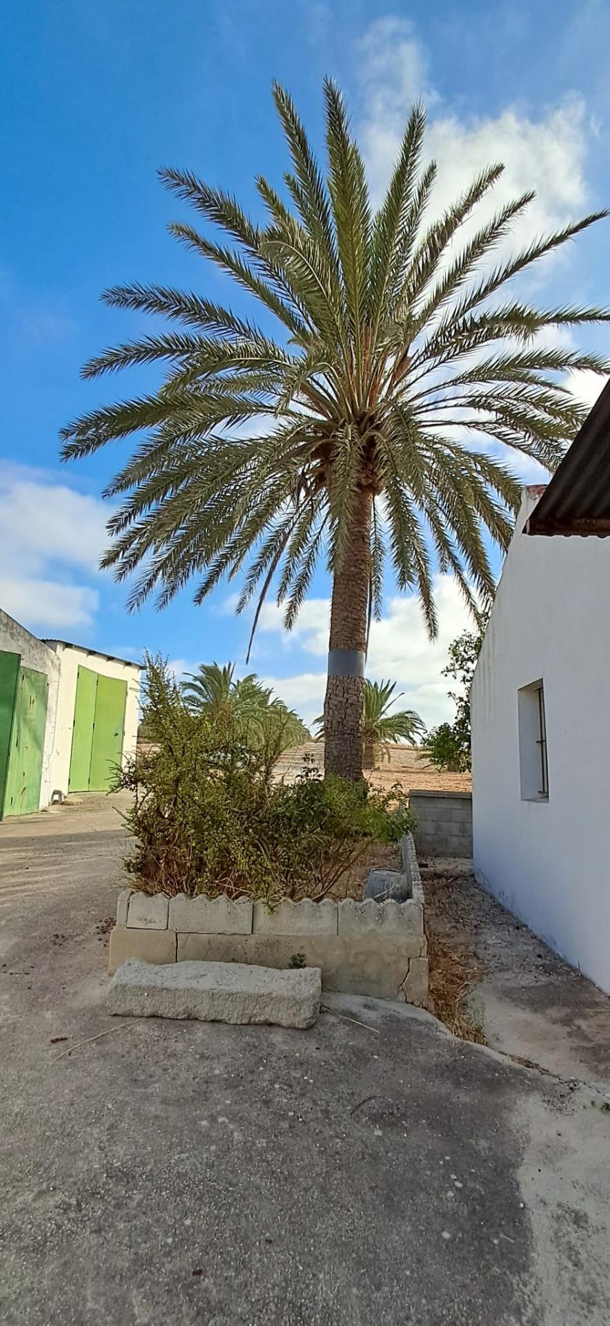 FINCA RÚSTICA EN ARCOS DE LA FRONTERA