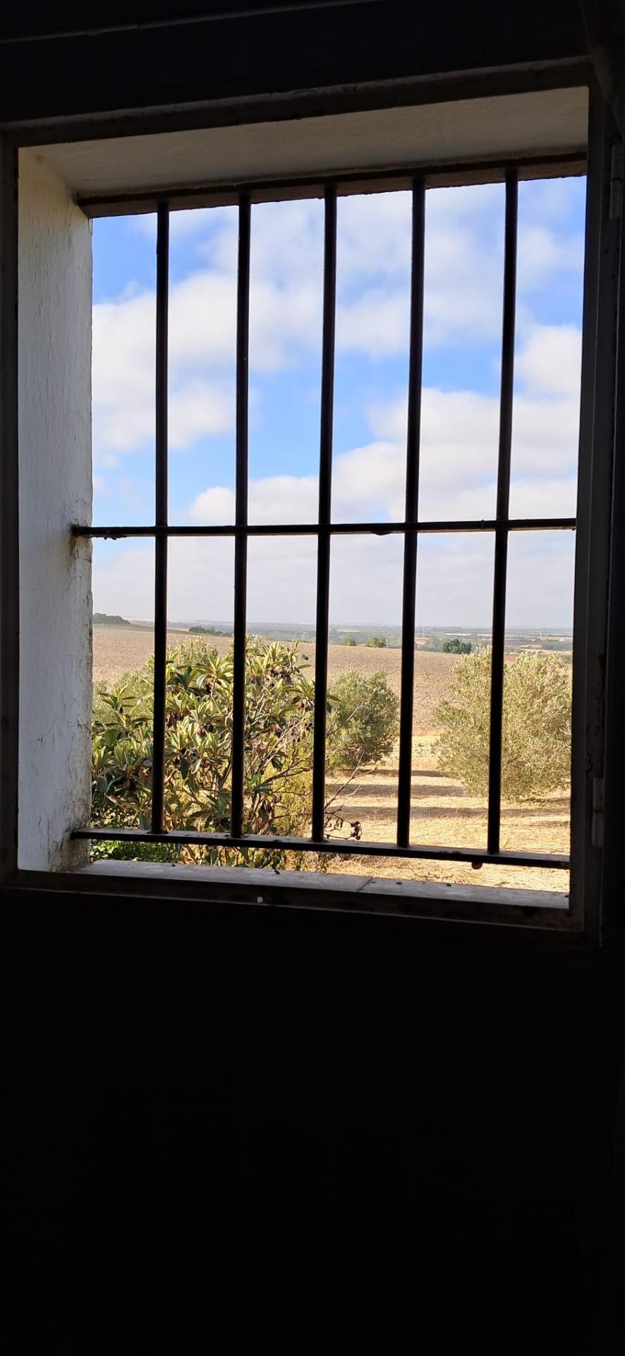 FINCA RÚSTICA EN ARCOS DE LA FRONTERA