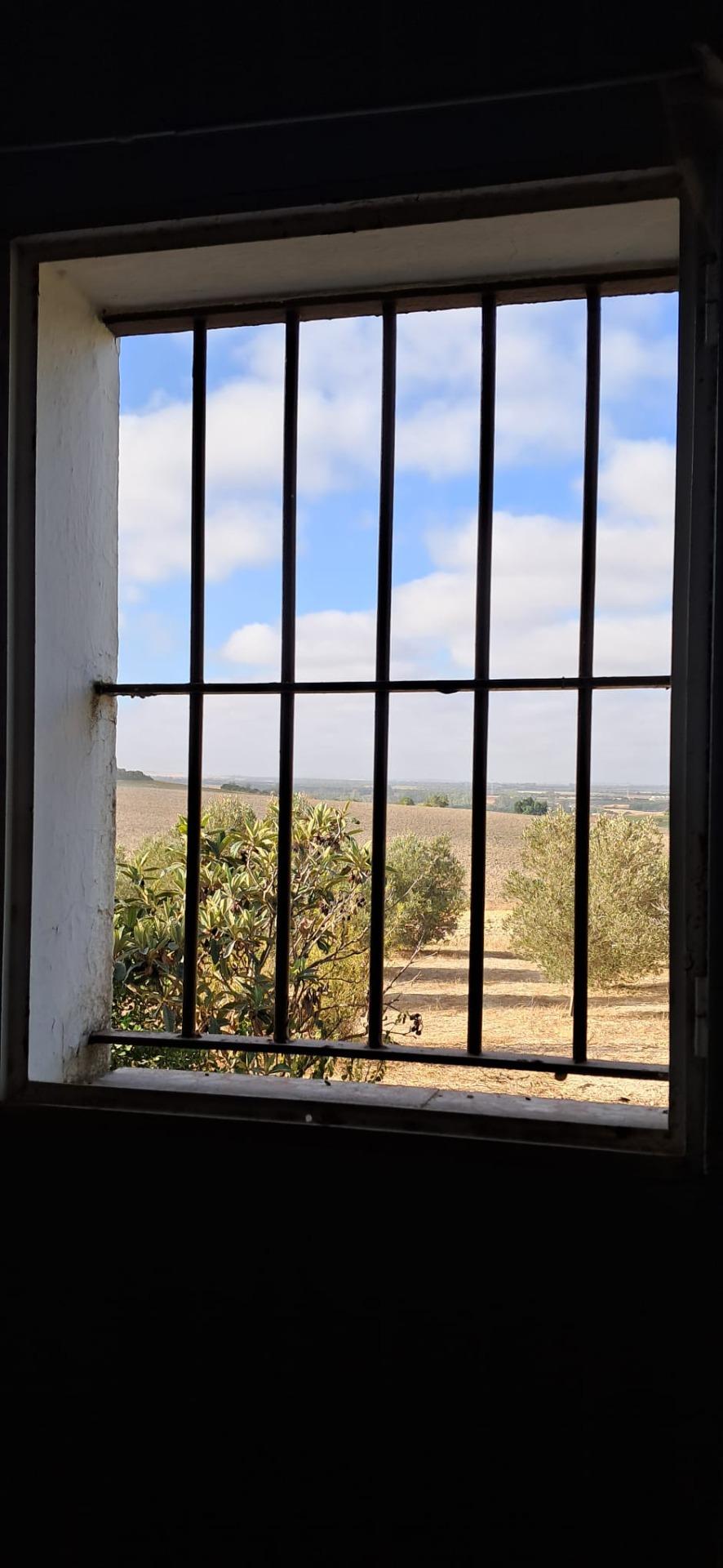 FINCA RÚSTICA EN ARCOS DE LA FRONTERA
