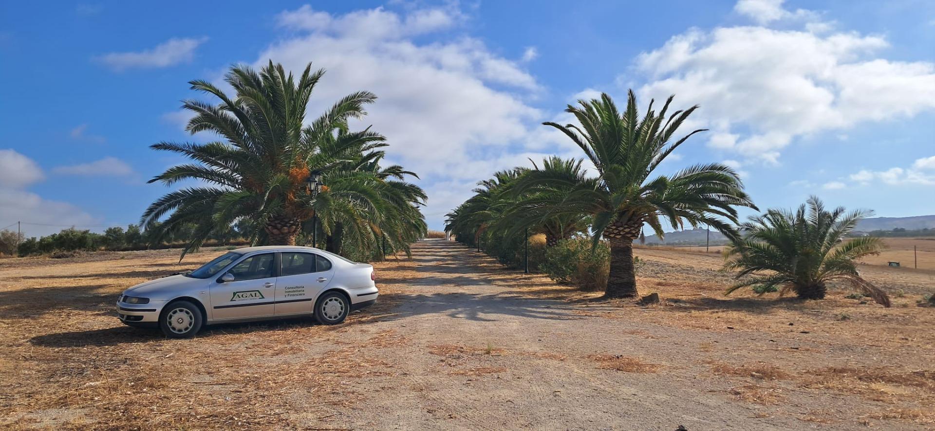 FINCA RÚSTICA EN ARCOS DE LA FRONTERA
