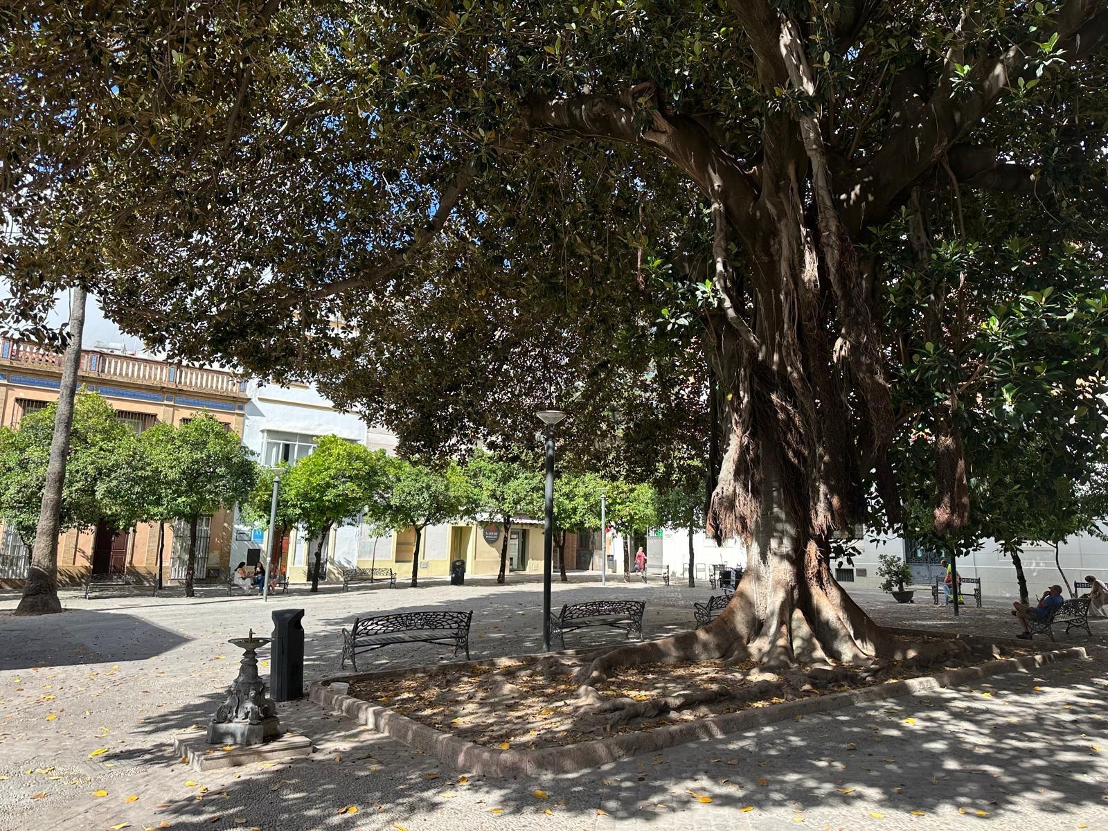 Oportunidad Única en Jerez: Casa con Nuda Propiedad