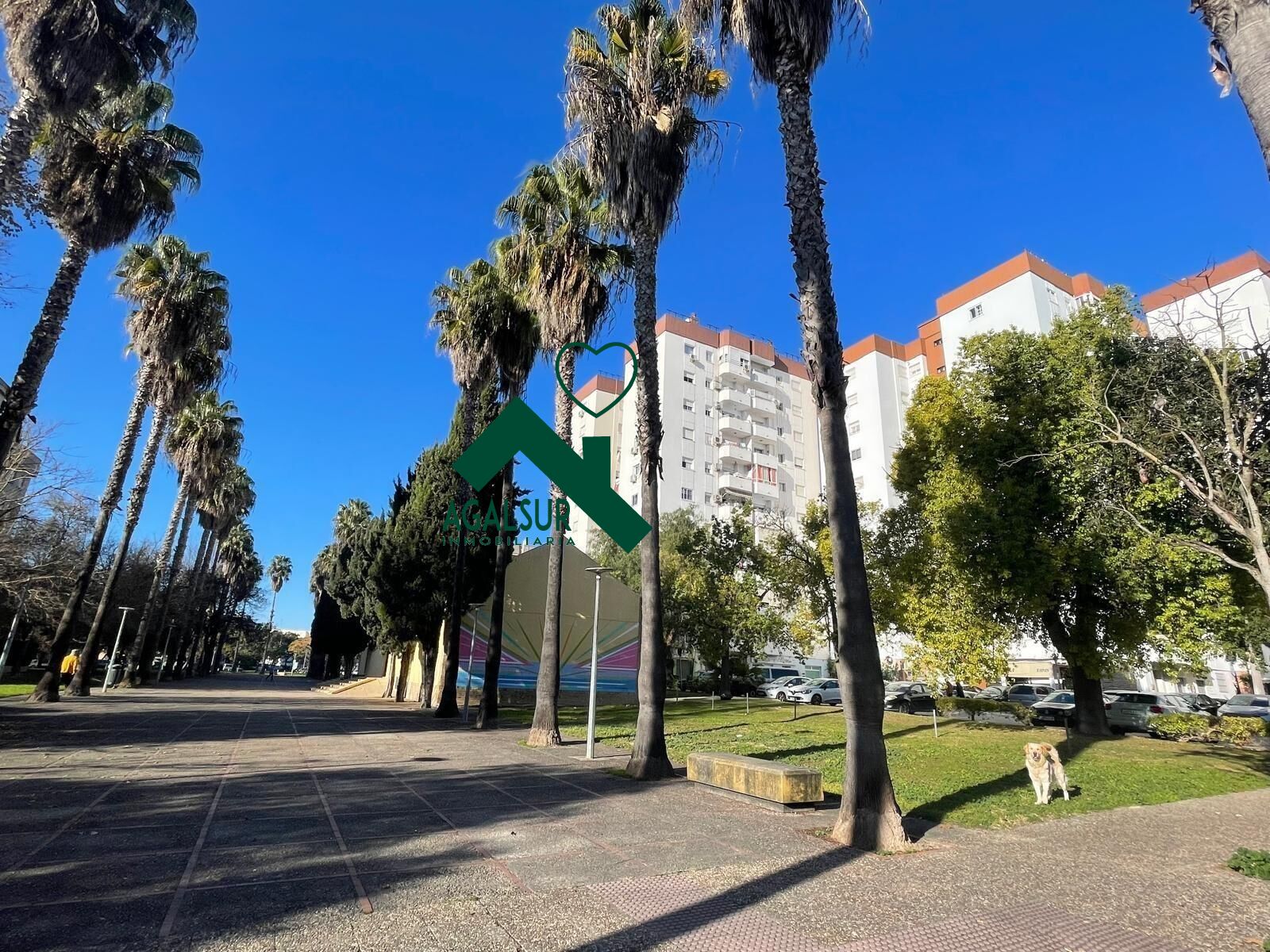 SE VENDE NEGOCIO EN URBANIZACIÓN