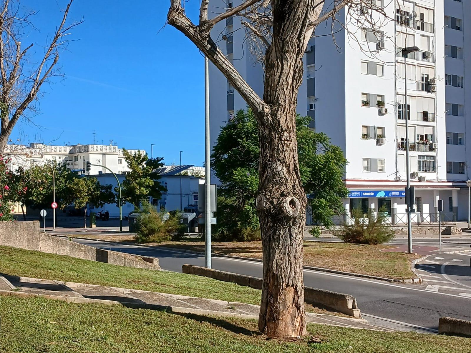 Amplio Piso en zona oeste Ideal para Entrar a Vivir